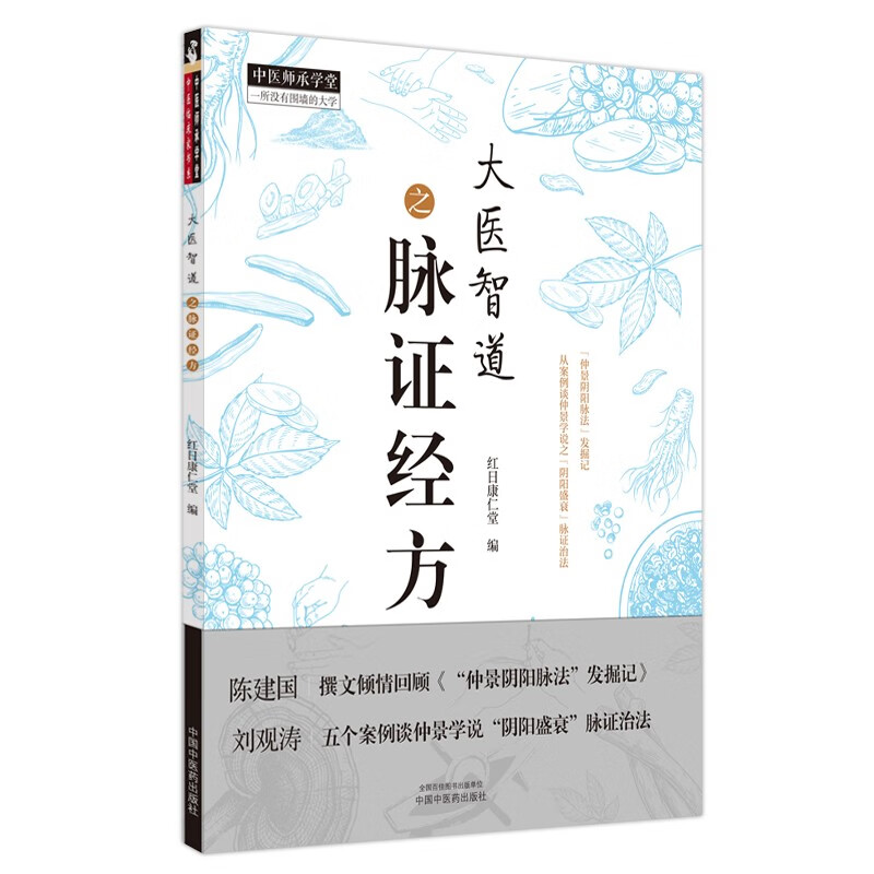 大医智道之脉证经方（中医师承学堂丛书） 红日康仁堂 著 中国中医药出版社 经方方剂学书籍