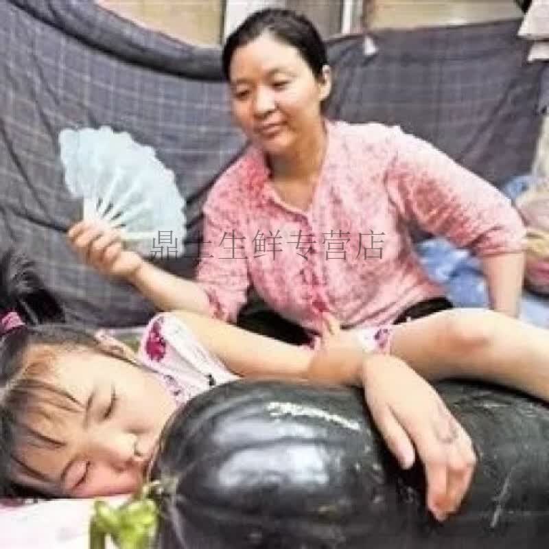 黑皮大冬瓜现摘新鲜大个纳凉解暑适合全家健康食用 青皮现摘大冬瓜18斤 18斤 京东折扣/优惠券