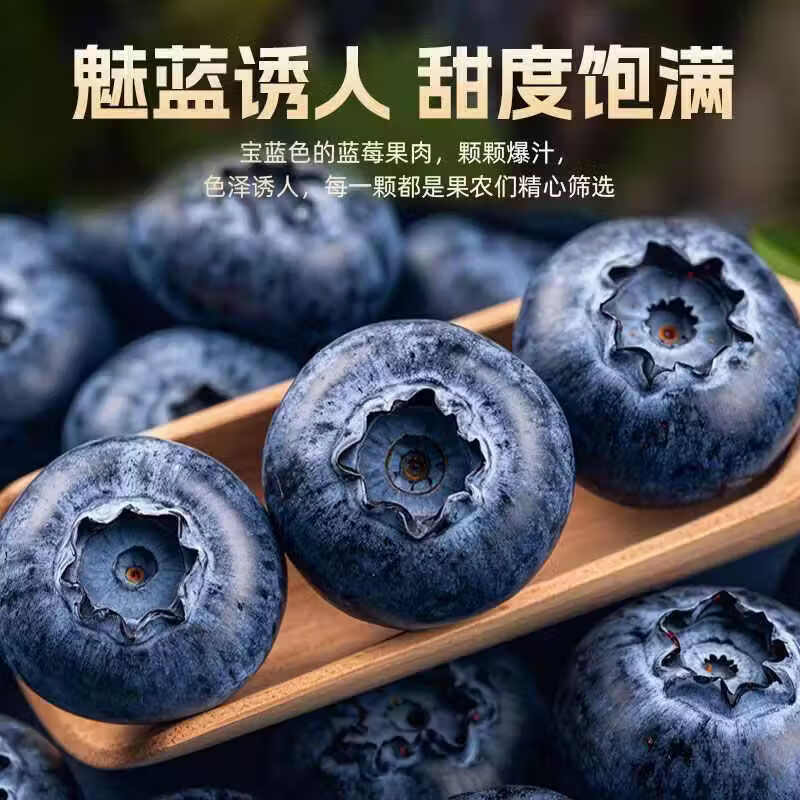 正宗云南高原新鲜采摘蓝莓新鲜水果孕妇宝宝辅食花香蓝莓 蓝莓小果单果18mm+ 高原蓝莓热卖90-115g*8盒装