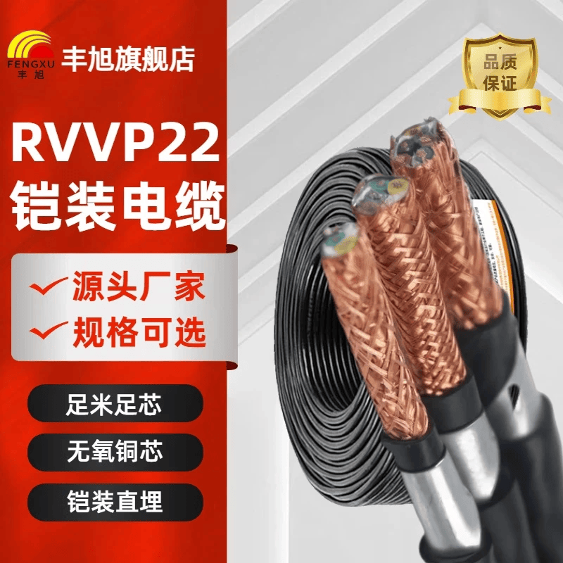 丰旭国标阻燃RVVP22 铠装屏蔽通讯信号线RS485铠装控制电缆通信电缆线 铠装屏蔽控制线RVVP22 2*1.5 100米(现货速发)
