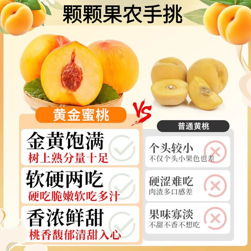 果站长正宗山东蒙阴黄金蜜桃黄桃黄油桃子当季鲜果产地直供孕妇送礼 净重4.5-5斤 A级精选果