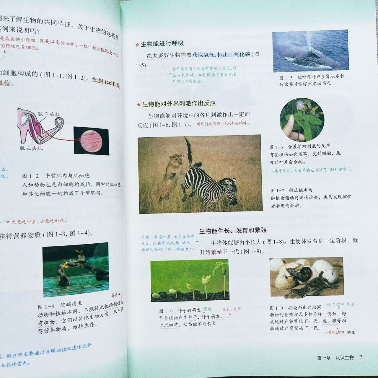 正版2026新版初中课堂笔记七年级八九年级上册下册语文数学英语人教版教材同步课本原文解析乐学熊随堂复习预习重点解读学霸笔记 地理【100页】 七年级上