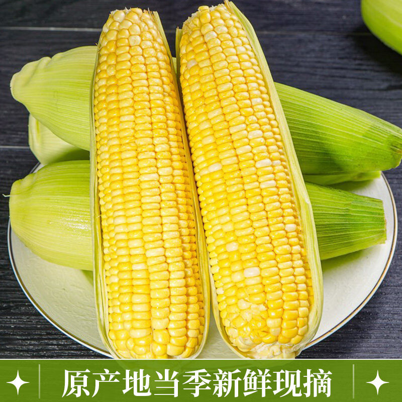 北森南屿云南金银水果玉米新鲜蔬菜水果糯甜玉米应季苞谷棒子现摘 5斤(300g起)带箱