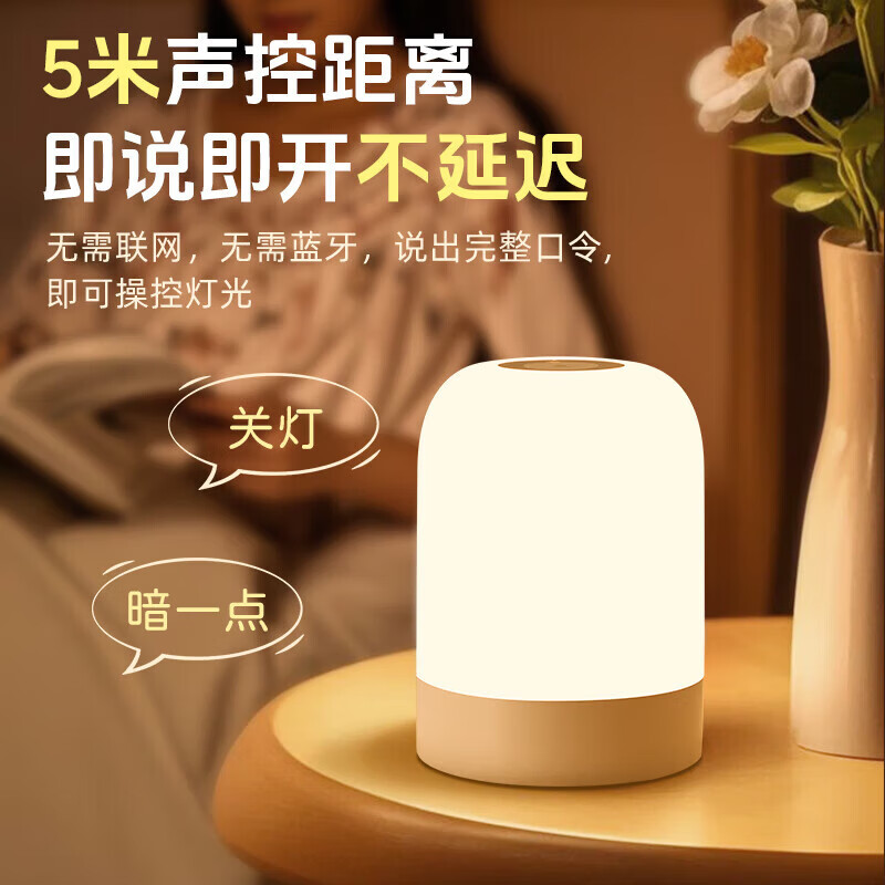 大头人智能语音声控小夜灯控制充电卧室睡眠婴儿喂奶护眼伴睡拍拍床头灯 【语音款2400毫安】语音控制+调光调色