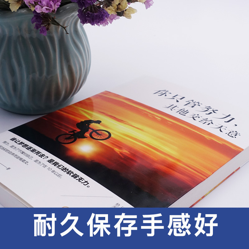 你只管努力，其他交给天意详情图