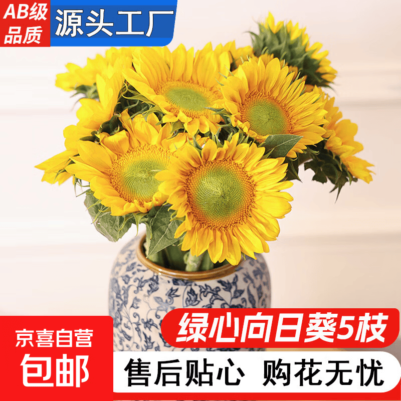 黑心向日葵鲜花云南基地直发水养鲜切花中考高考升职花束一举夺魁 向日葵-绿心-1扎/5枝（50-60cm)