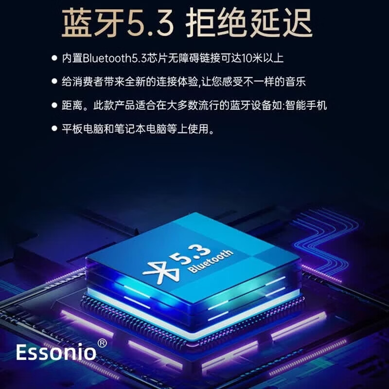 ESSONIO品牌5.3蓝牙音箱小巧便携式重低音炮IPX7防水可运动户外可家用插卡迷你型户外小音响 黑色【迷你便携+IPX7防水】