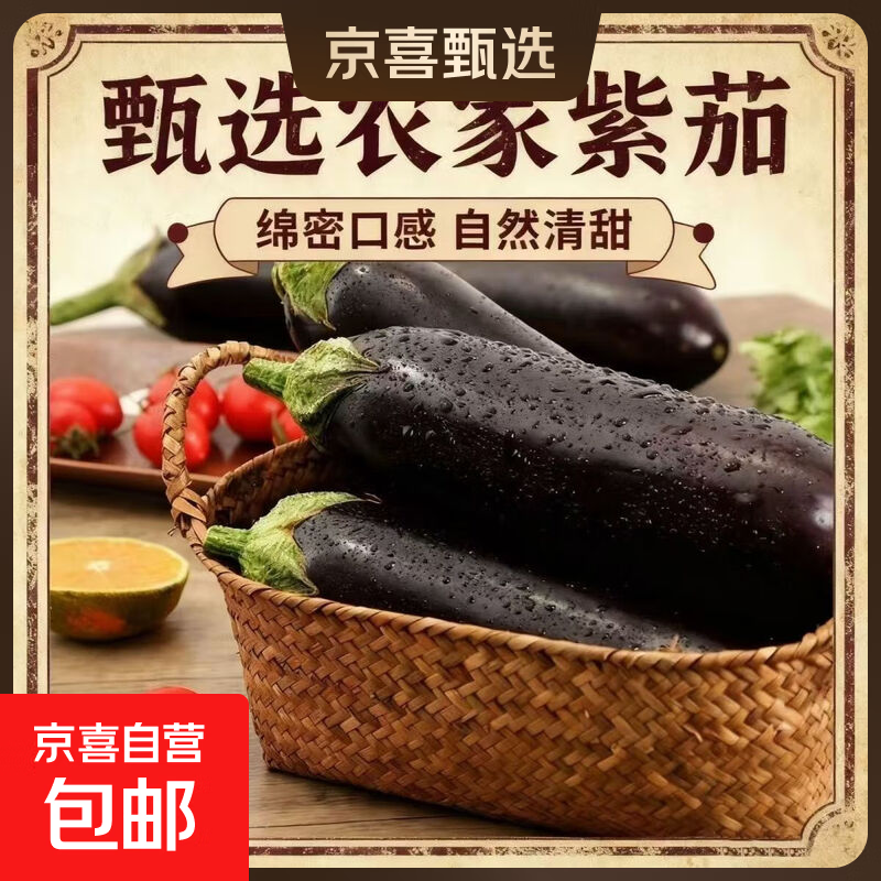 山东新鲜紫皮茄子 5斤装 仅6.9元 当季蔬菜 烧烤必备