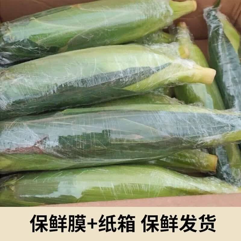 【京东物流送货到家】现摘生吃爆浆水果玉米孕妇苞谷棒即食嫩蔬菜 5斤