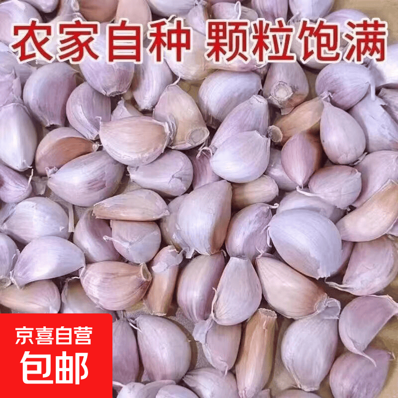大蒜15-20颗 0.1元 - 86线报