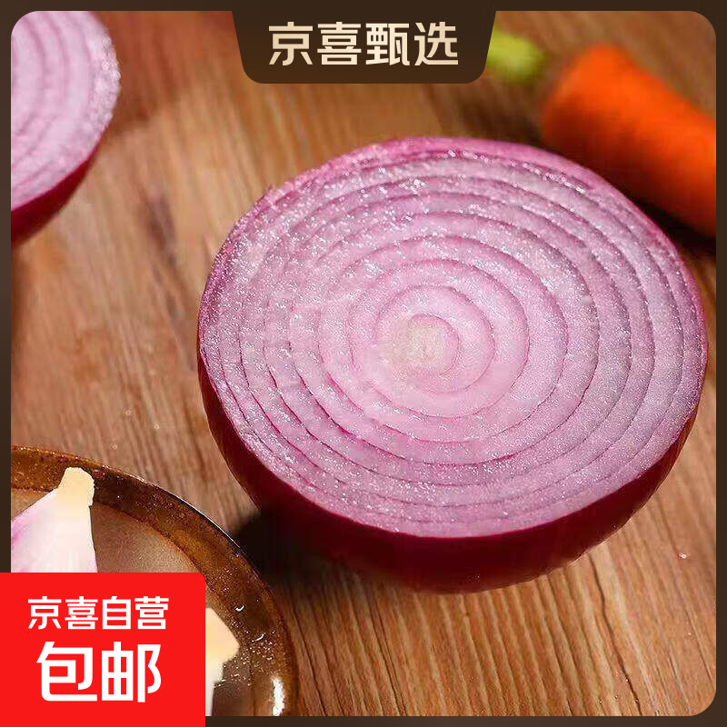 2026新鲜紫皮洋葱农家现挖产地生吃蔬菜红皮水果葱头5斤脆甜生鲜 2斤