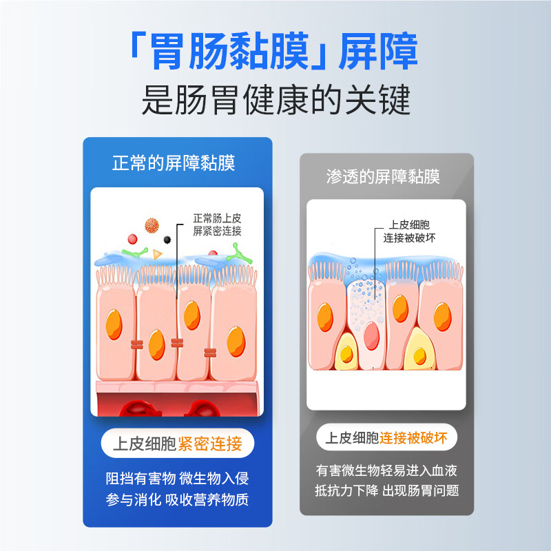 WARNKE VITALSTOFFE德国进口L-谷氨酰胺养胃护胃修复胃黏膜保护剂修护肠道营养保健品 装谷氨酰胺/粒 750mg*1瓶