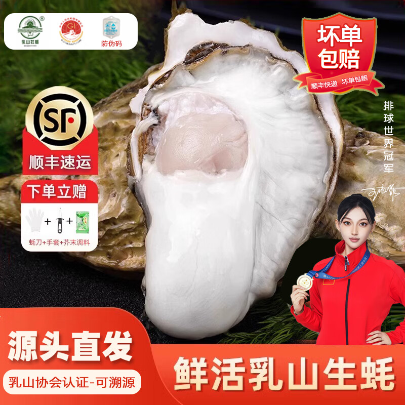 百鲜洽乳山生蚝鲜活特大牡蛎带壳生吃海蛎子新鲜海鲜水产贝类聚会烧烤 【90%选择】4XL净重5斤(约12-16只)