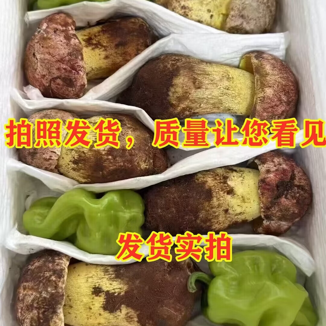 野生菌见手青牛肝菌新鲜现采顺丰空运粉菌白葱云南野生菌蘑菇2026 510g一斤精品质量装