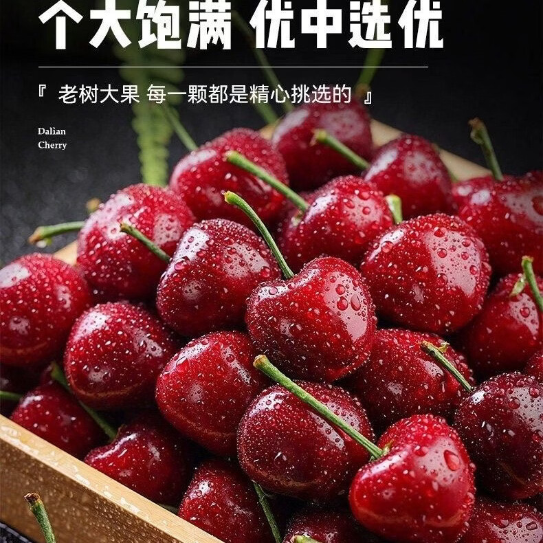正宗俄罗斯八号大樱桃新鲜现摘果大饱满脆甜多汁当季鲜果整箱发货 3斤(净重) 特大果 28-36单果约15-22g