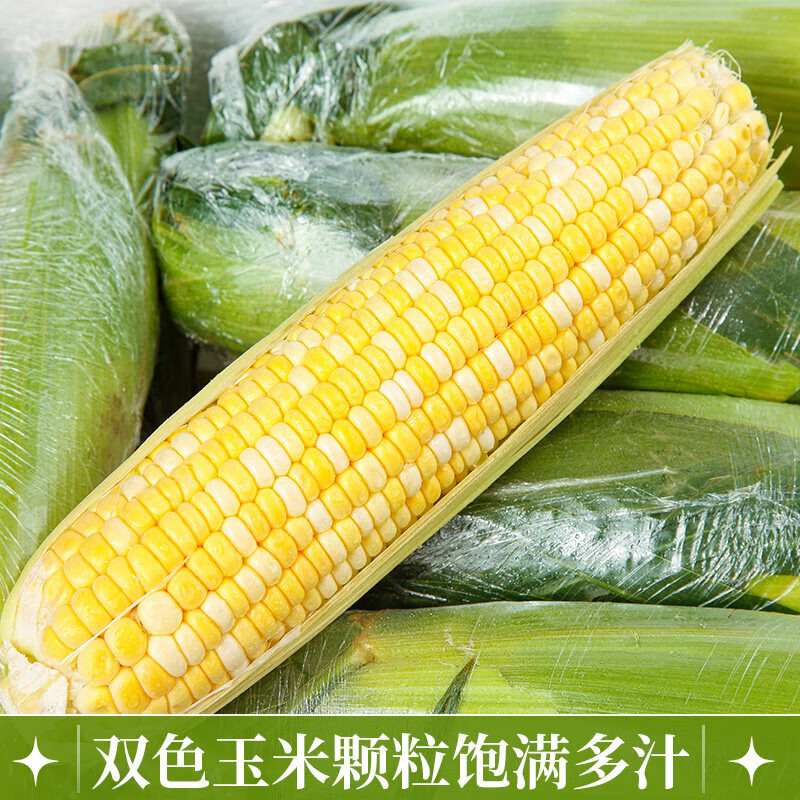 北森南屿云南金银水果玉米新鲜蔬菜水果糯甜玉米应季苞谷棒子现摘 5斤(300g起)带箱
