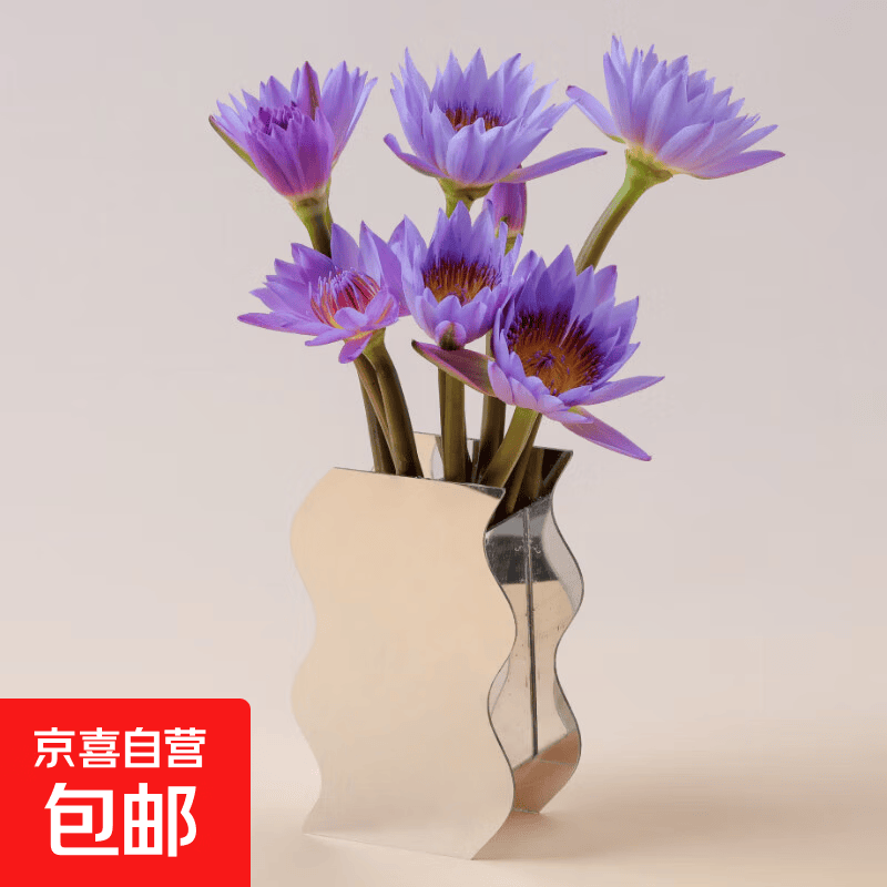 睡莲鲜切花鲜花基地现采广州直发带花苞家庭室内养护礼物花材5 紫色睡莲5枝（京东快递）