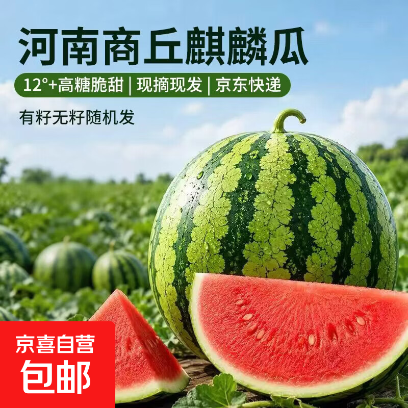 麒麟西瓜有籽无籽随机发6-8斤 16.9元 - 86线报