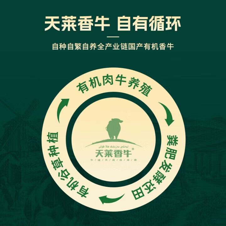 天莱香牛 原切肥牛肉卷 涮火锅食材 OFDC有机认证 新疆 全产业链 【CP装】有机牛肉卷900g