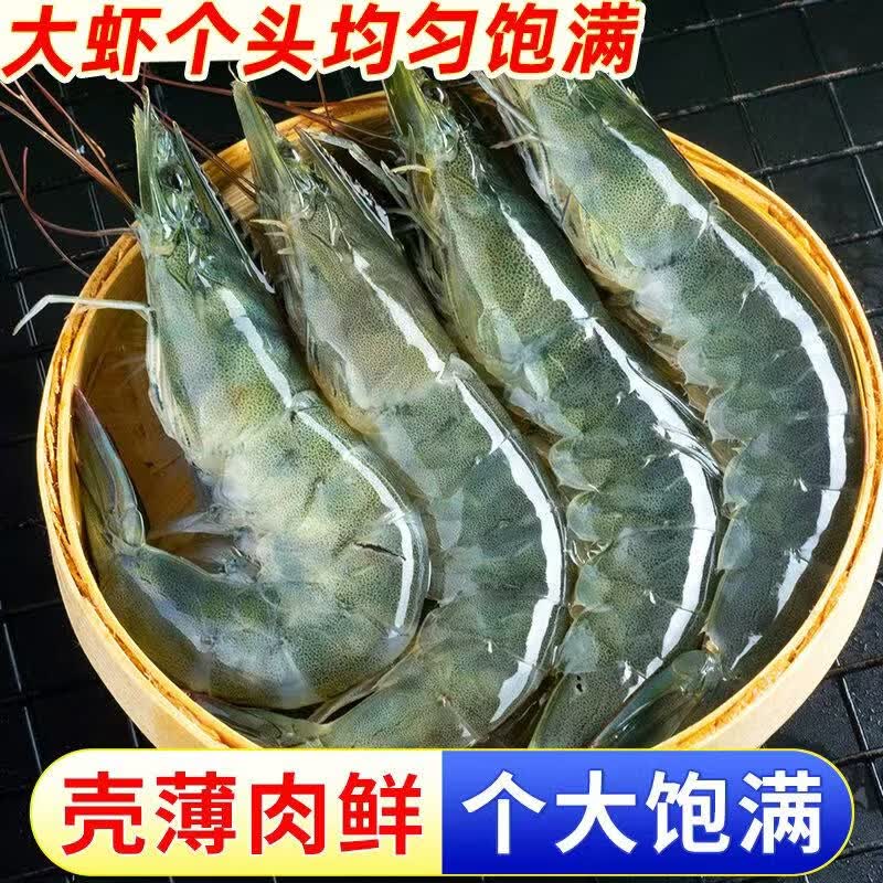 九英里厄瓜多尔白虾20/30特大号鲜活冷冻大虾净重4斤原装进口源头直发 盐冻大虾 16-20cm 3斤(净重)无冰款 1500g(净重)