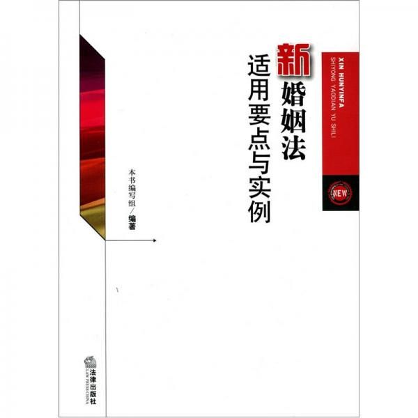 新婚姻法适用要点与实例【上新】