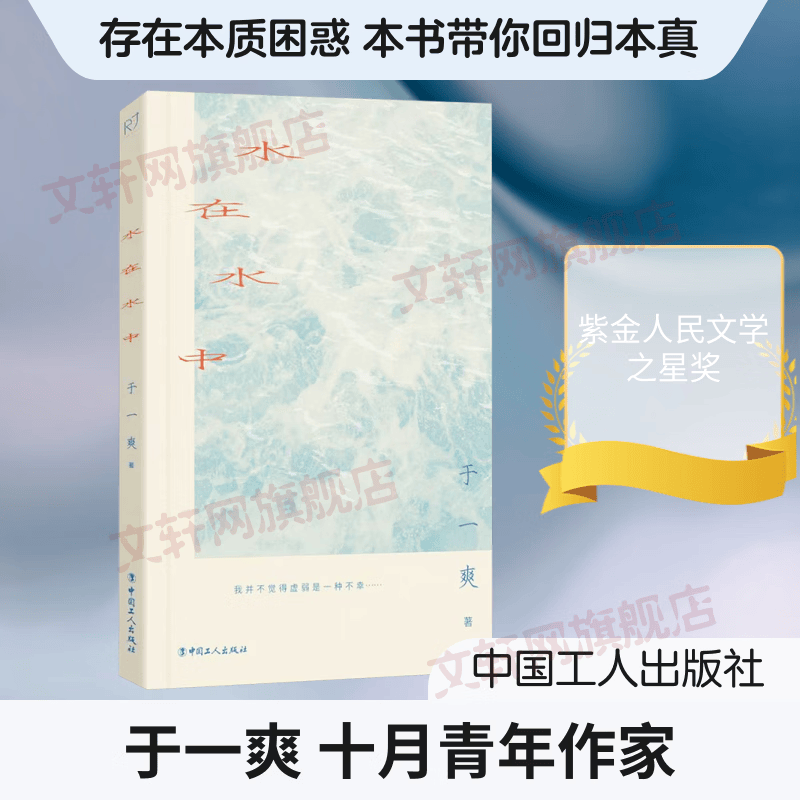 水在水中 中国工人出版社 于一爽 著 书籍 图书