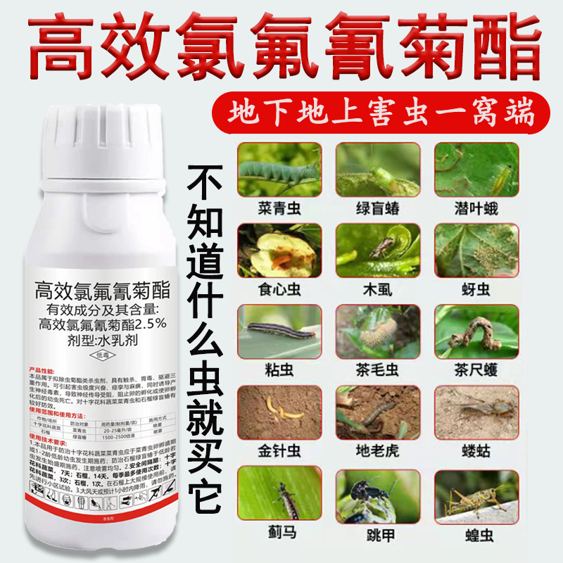 时功夫高效氯氟氰菊酯水乳剂果树蔬菜菜青虫绿盲蝽地下上杀虫剂农药