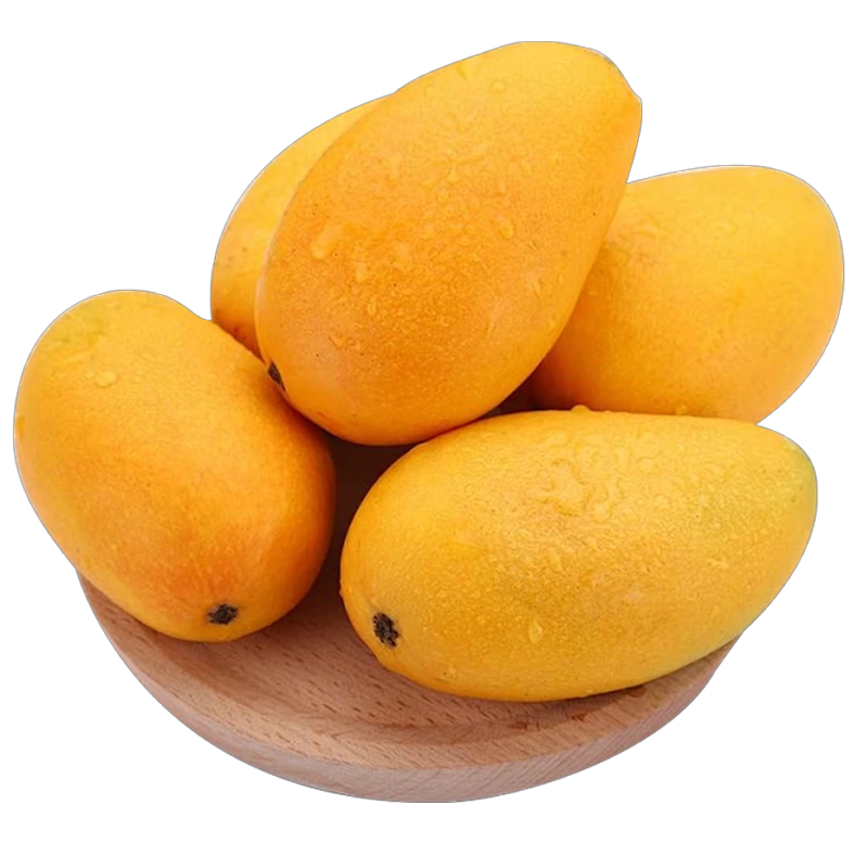 京觅广西百色桂七芒果 净重4.5斤 单果200g+ 新鲜水果源头直发包邮