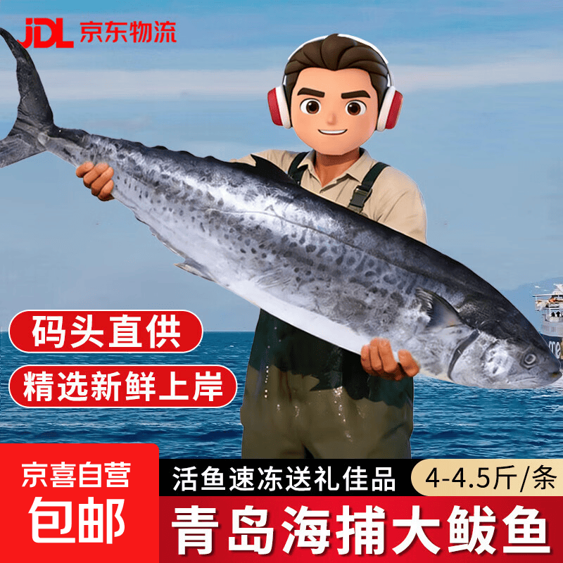 青岛海捕大鲅鱼马鲛鱼燕鲅鱼整条净重无冰 海鲜礼盒送礼 鱼类生鲜 整条大鲅鱼4-4.5斤/条