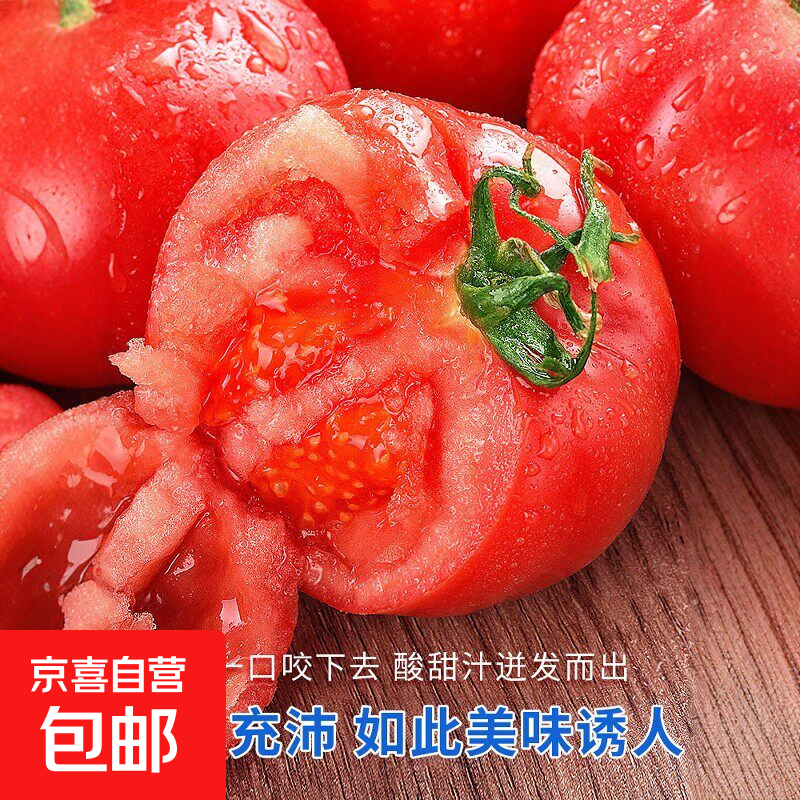 京喜自营山东普罗旺斯番茄 减脂即食沙瓤多汁自然熟水果西红柿 普罗旺斯带箱5斤4.5斤净重