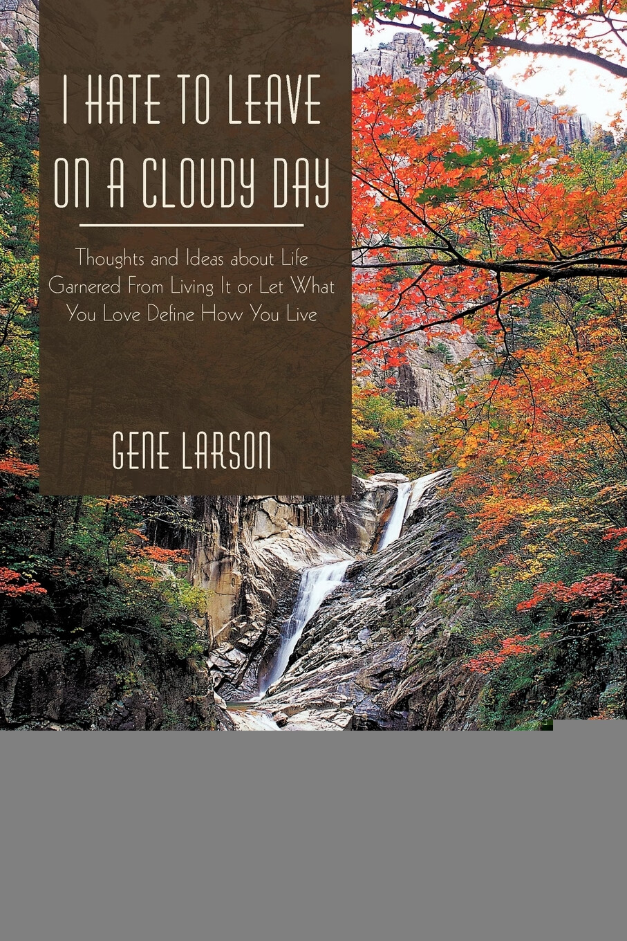 预售 按需印刷 i hate to leave on a cloudy day