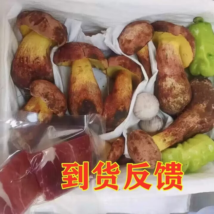 云南野生见手青新鲜牛肝菌当季野生菌红葱蘑菇野生顺丰现发见手青 520g一斤精品质量装
