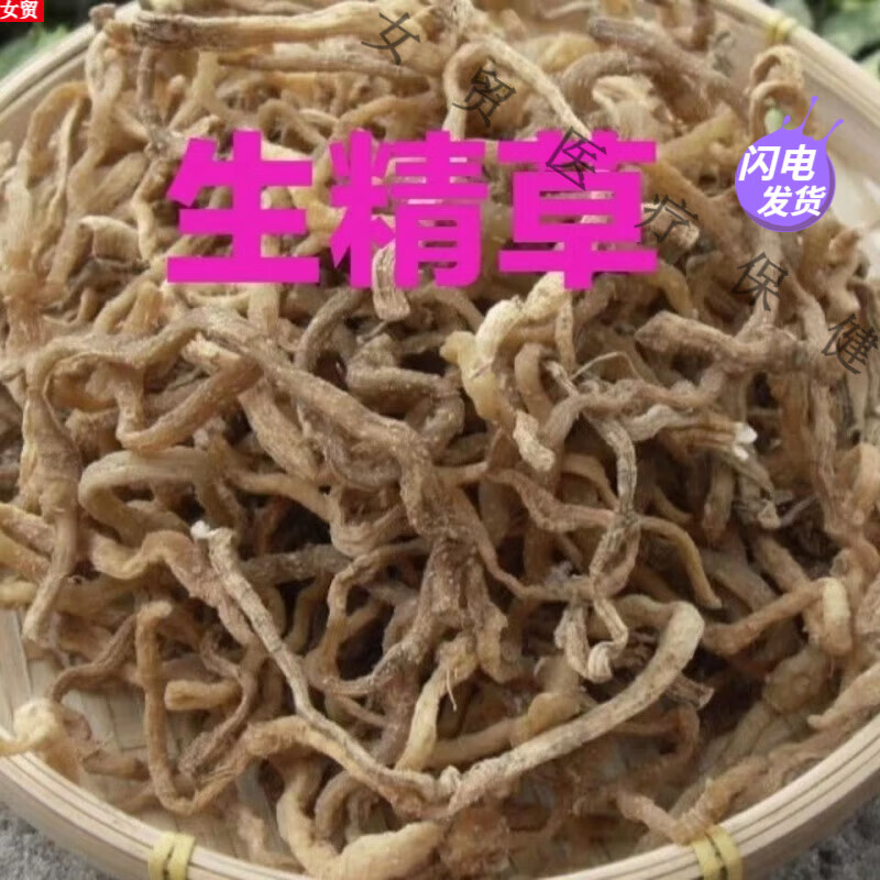 云南苗族中药材生精草不倒草起阳草阳起草 不老草 顶天柱泡酒煲汤内廷