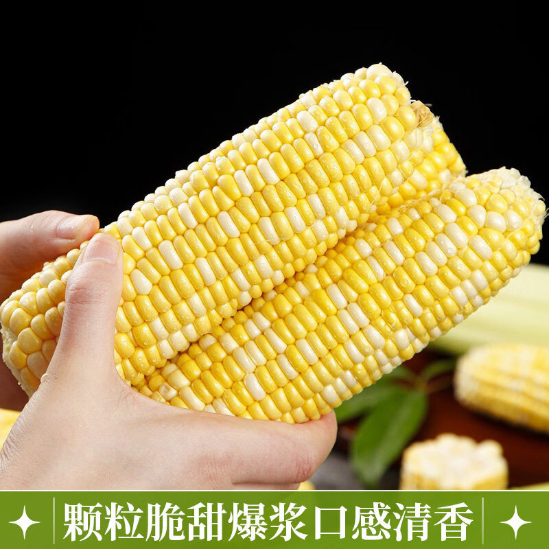北森南屿云南金银水果玉米新鲜蔬菜水果糯甜玉米应季苞谷棒子现摘 5斤(300g起)带箱