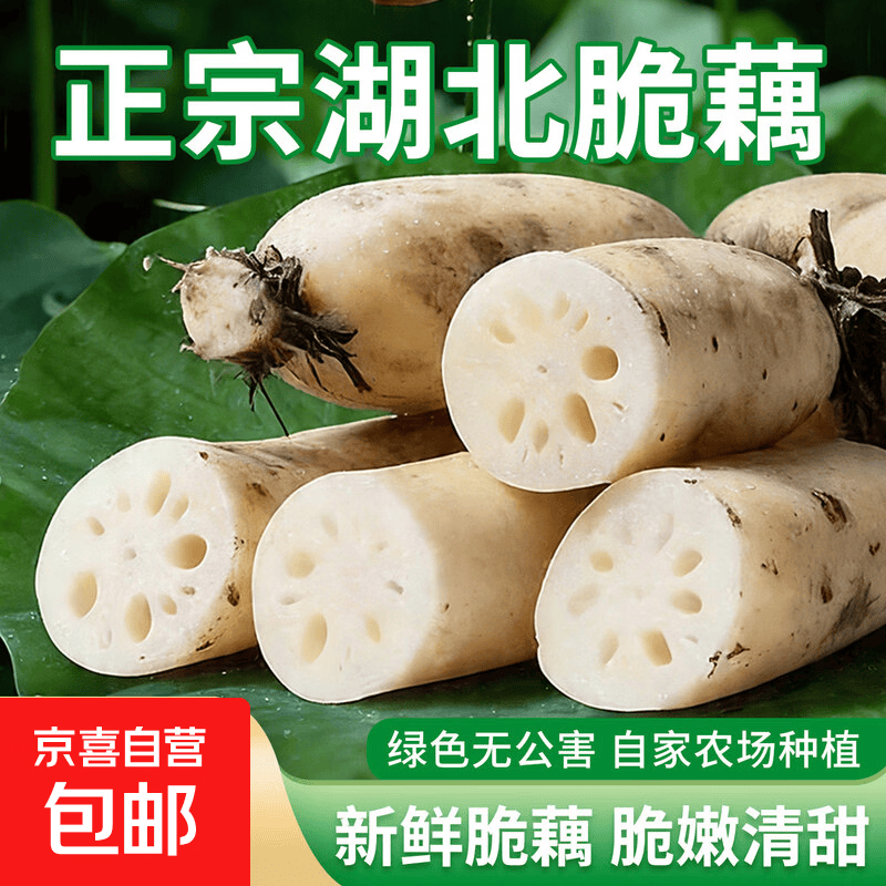 2026湖北洪湖莲藕新鲜九孔水果莲藕生吃清甜凉拌国家地标特产蔬菜 新鲜莲藕2斤净重