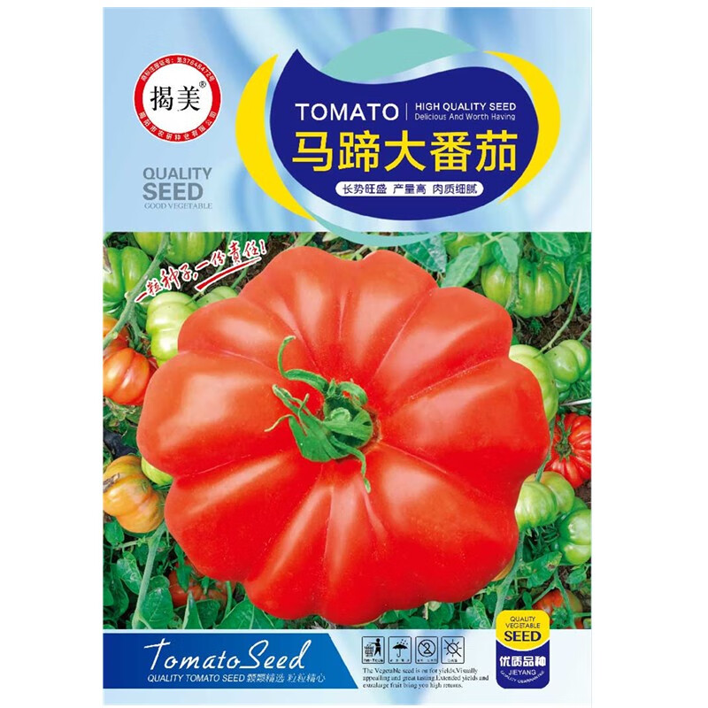 揭美 潮汕老种马蹄番茄种子 西红柿种子 庭院田园播种番茄蔬菜种子 原厂包装约100粒