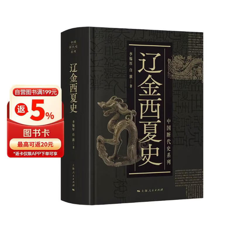 中国断代史系列：辽金西夏史