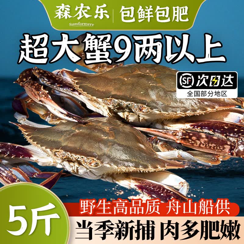 舟山梭子蟹鲜活特大野生大螃蟹新鲜冷冻海鲜水产海蟹飞蟹白蟹顺丰 7-9两/只【5斤净重 特大肥壮】