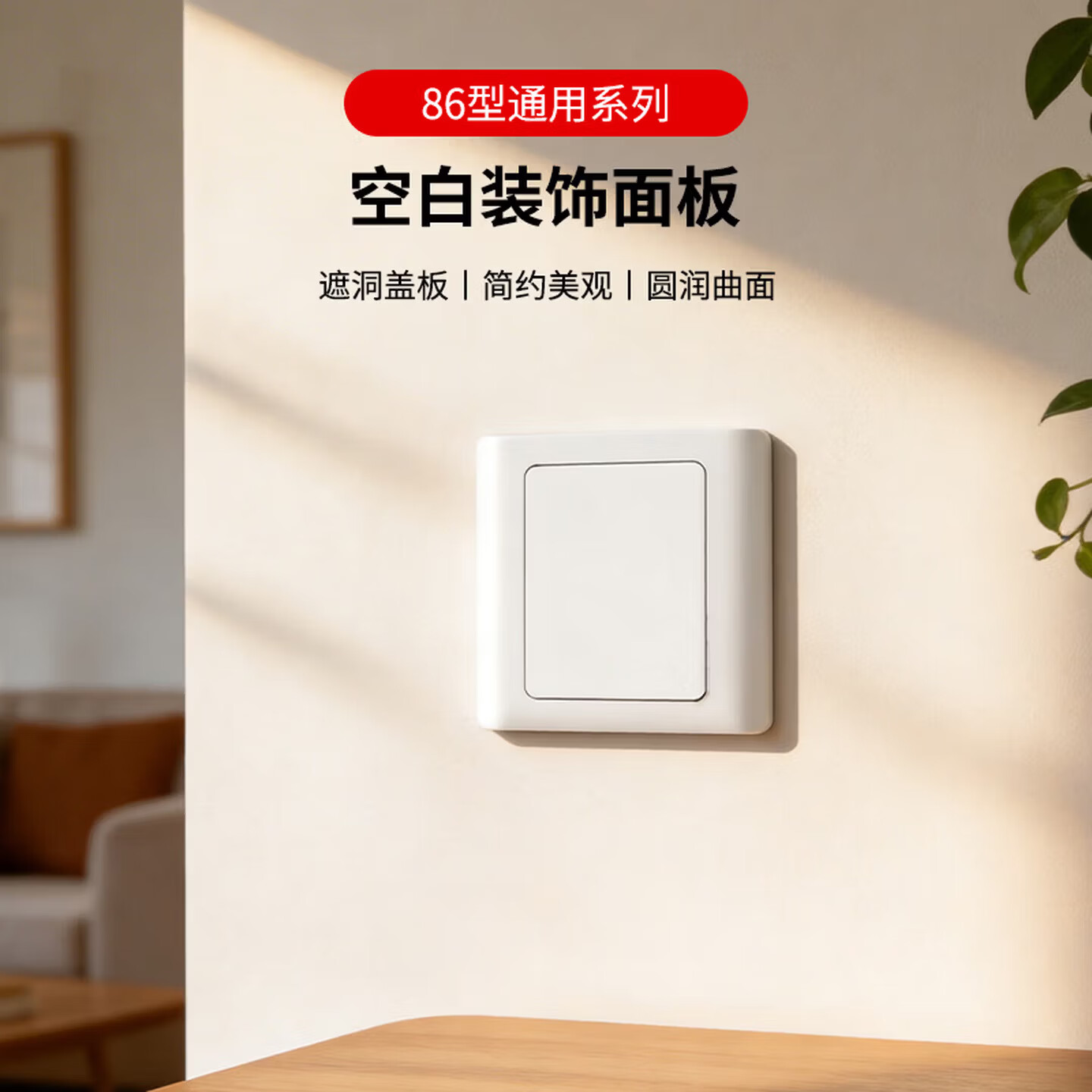 国际电工86型空白面板带孔二合一背景墙暗盒堵洞挡板家装工程装饰遮挡盖板 1只装【配螺丝】86型空白盖板