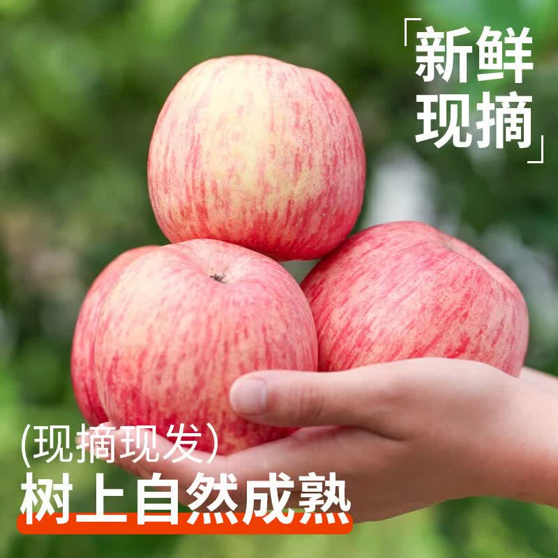 烟台红富士苹果产地直发脆甜多汁新鲜水果礼盒烟台苹果送礼整箱 尝鲜装75MM红富士6枚装
