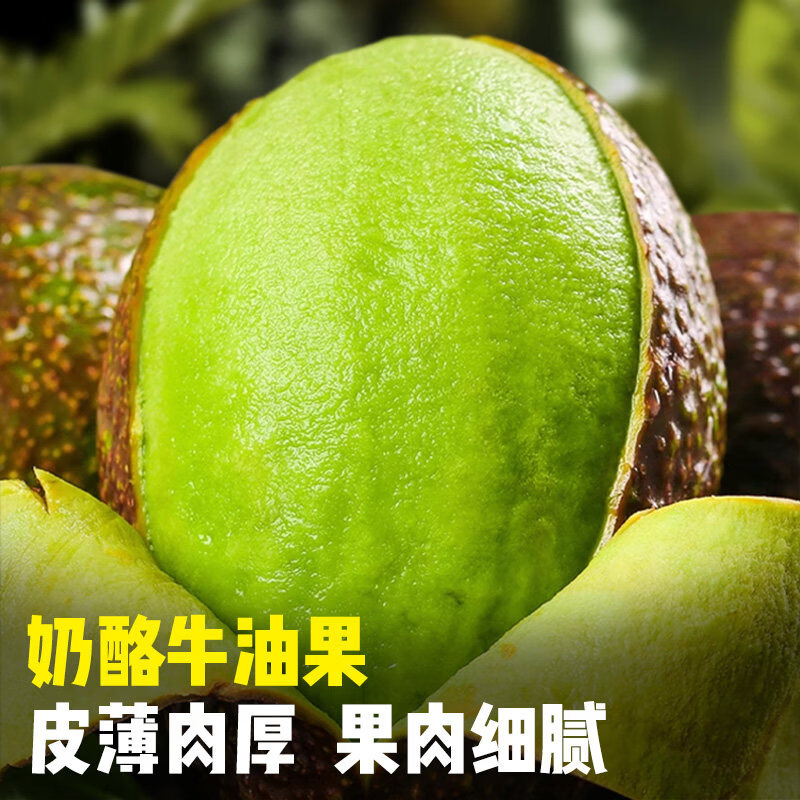 东东田牛油果新鲜水果爽滑细腻宝宝辅食单果水果当季礼盒超市 单果100-130g 6枚