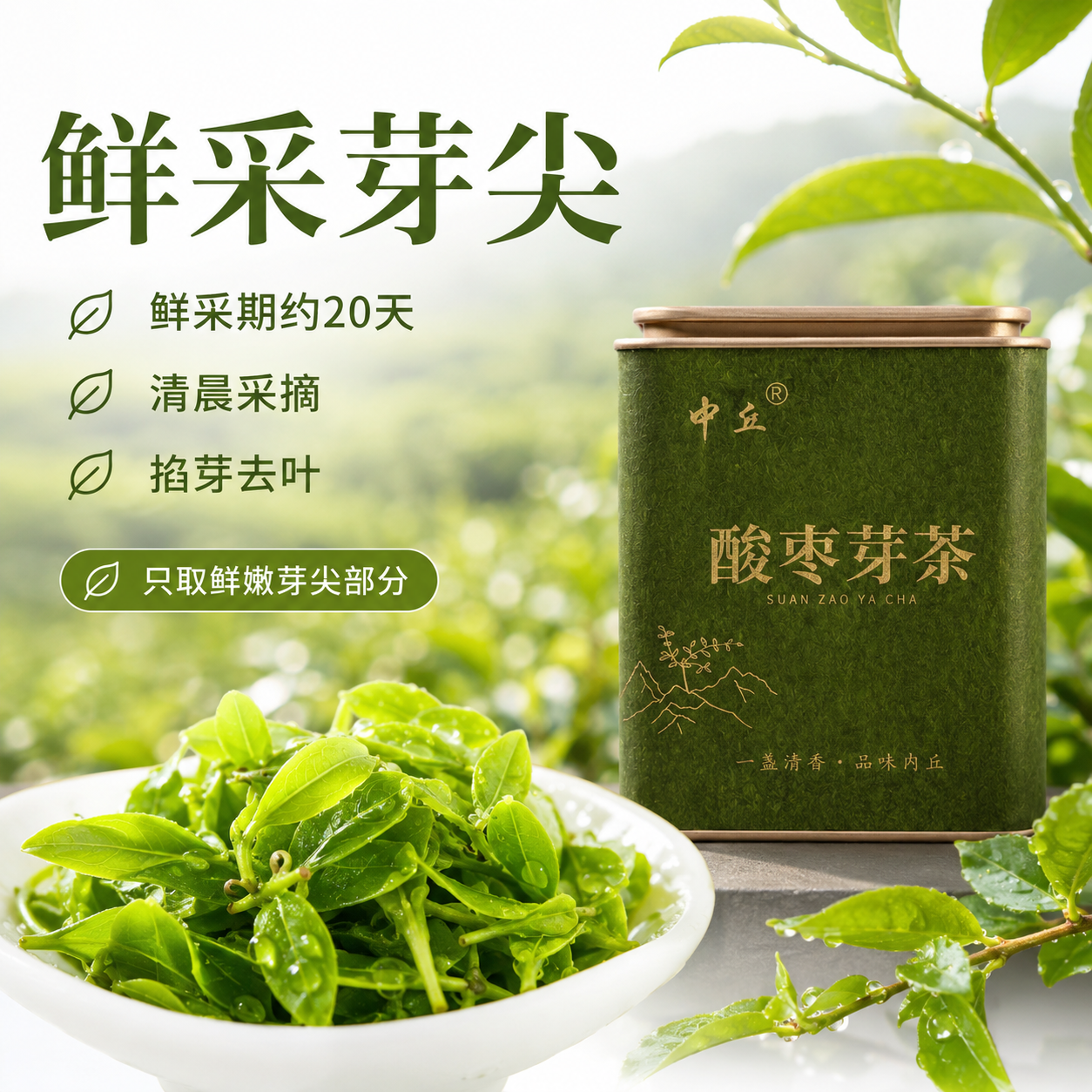 中丘正宗野生酸枣芽茶河北太行山酸枣嫩芽叶特产邢台内丘初春头采炒制 2026年春季新酸枣芽 50克*1罐 （单罐无袋）