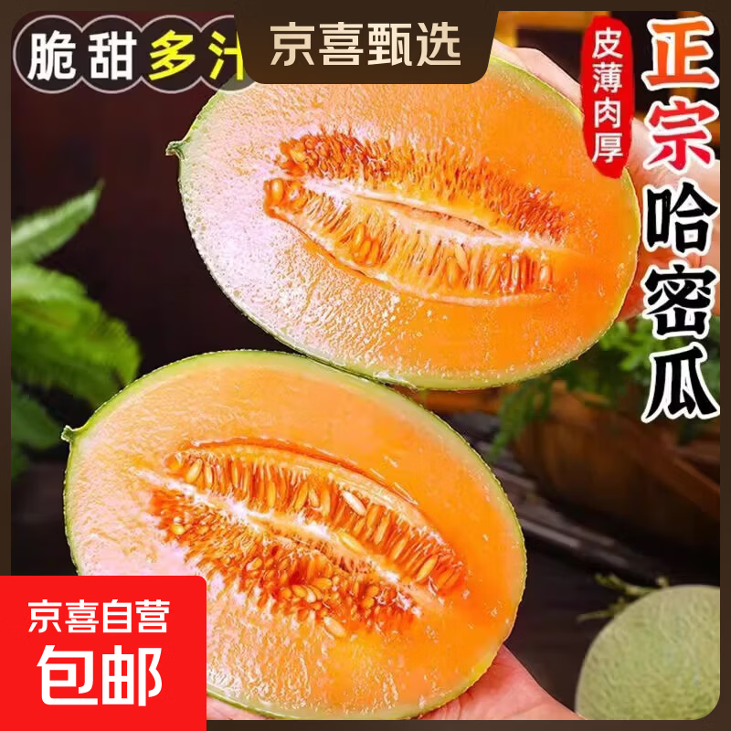 京喜加海南哈密瓜水果现货正宗保甜当季新鲜水果脆甜晓蜜哈密瓜 精选2-3斤（1颗装）净重1.5斤-2.5斤