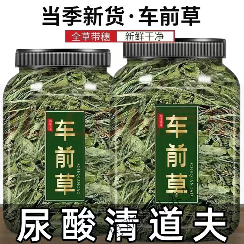 同仁堂胖东来同款野生车前草干货中草药江西特级车前草清热利尿泡茶 特级野生车前草 125g*8罐
