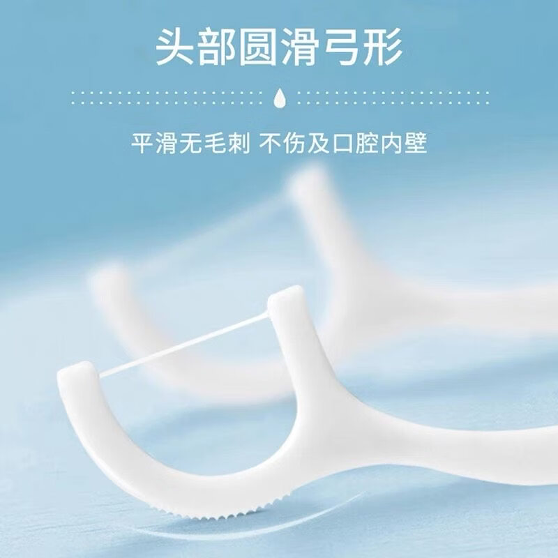 HAMECO牙线棒 家庭装家用牙签一次性牙线 盒装 牙线50支x6盒 【共300支】