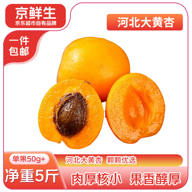 京鲜生 国产大黄杏 净重5斤 单果50g+ 生鲜水果 源头直发包邮