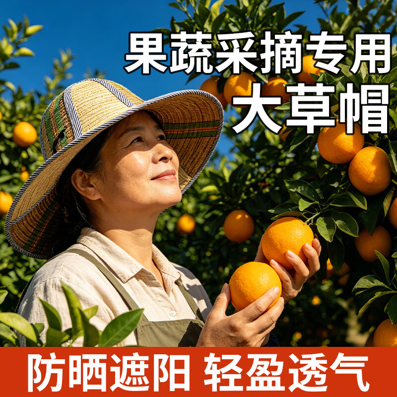 采摘专用草帽 遮阳帽檐防晒工地农民干活遮阳帽神器 沙滩编织帽宽圈透气 大号防晒草帽【无纺布内衬+可折叠】