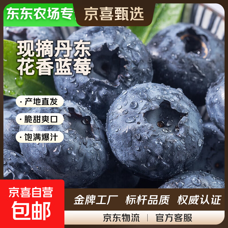 【东东农场专供】正宗新鲜丹东采摘蓝莓孕妇宝宝辅食花香蓝莓 4盒装【净重100g/盒】 尝鲜果【单果15mm+】