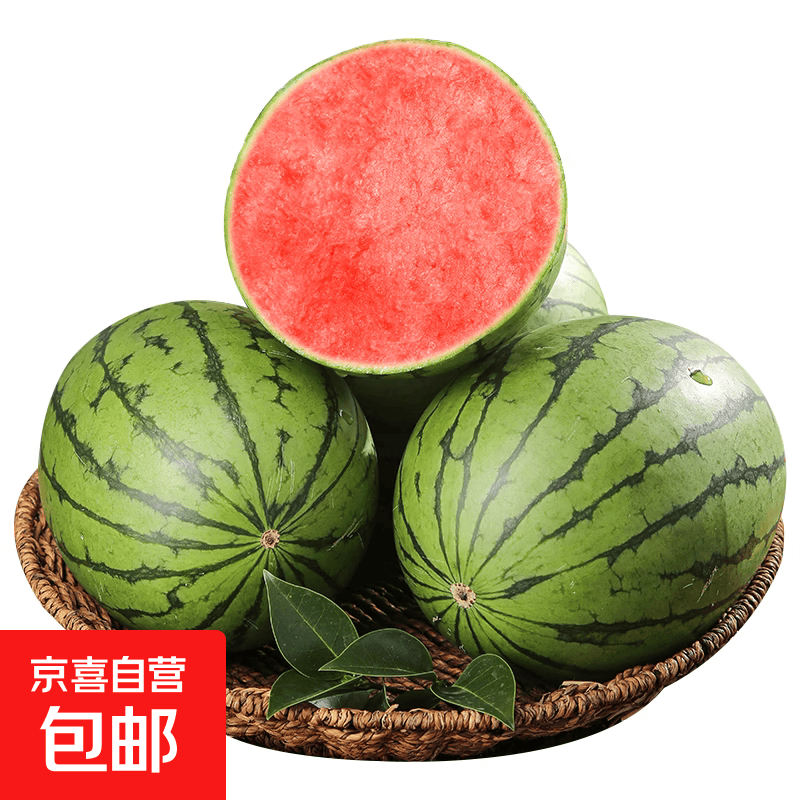 手剥皮小西瓜2K小糖丸西瓜新鲜水果薄皮西瓜脆甜手撕红肉甜瓜整箱 小糖丸5-6斤(1-2粒)