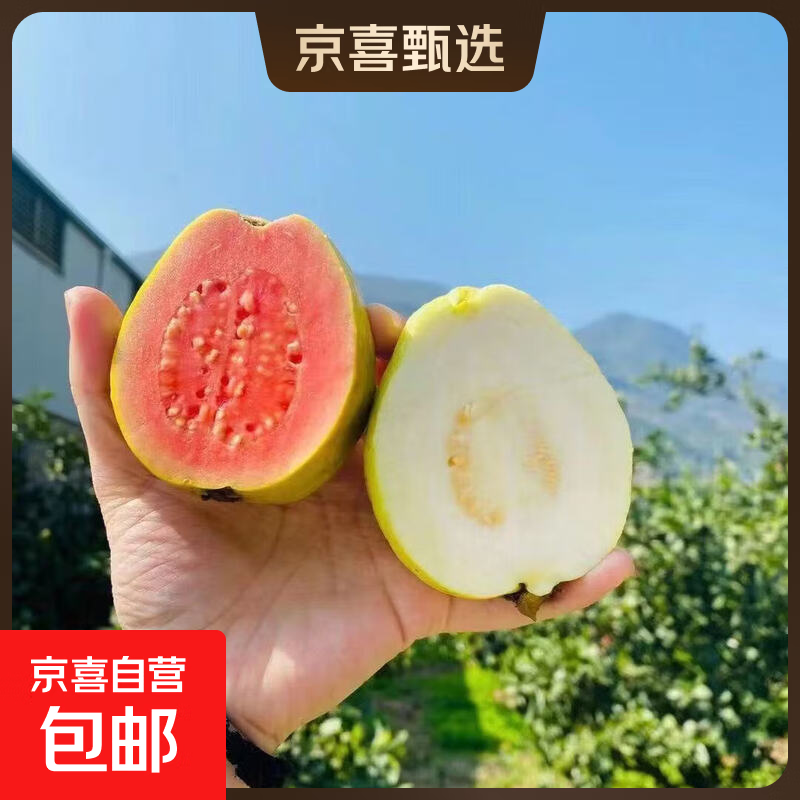 广东双拼红心白心软芭乐番石榴奶油冰淇淋口感软糯新鲜低糖水果 3斤双拼软心芭乐
